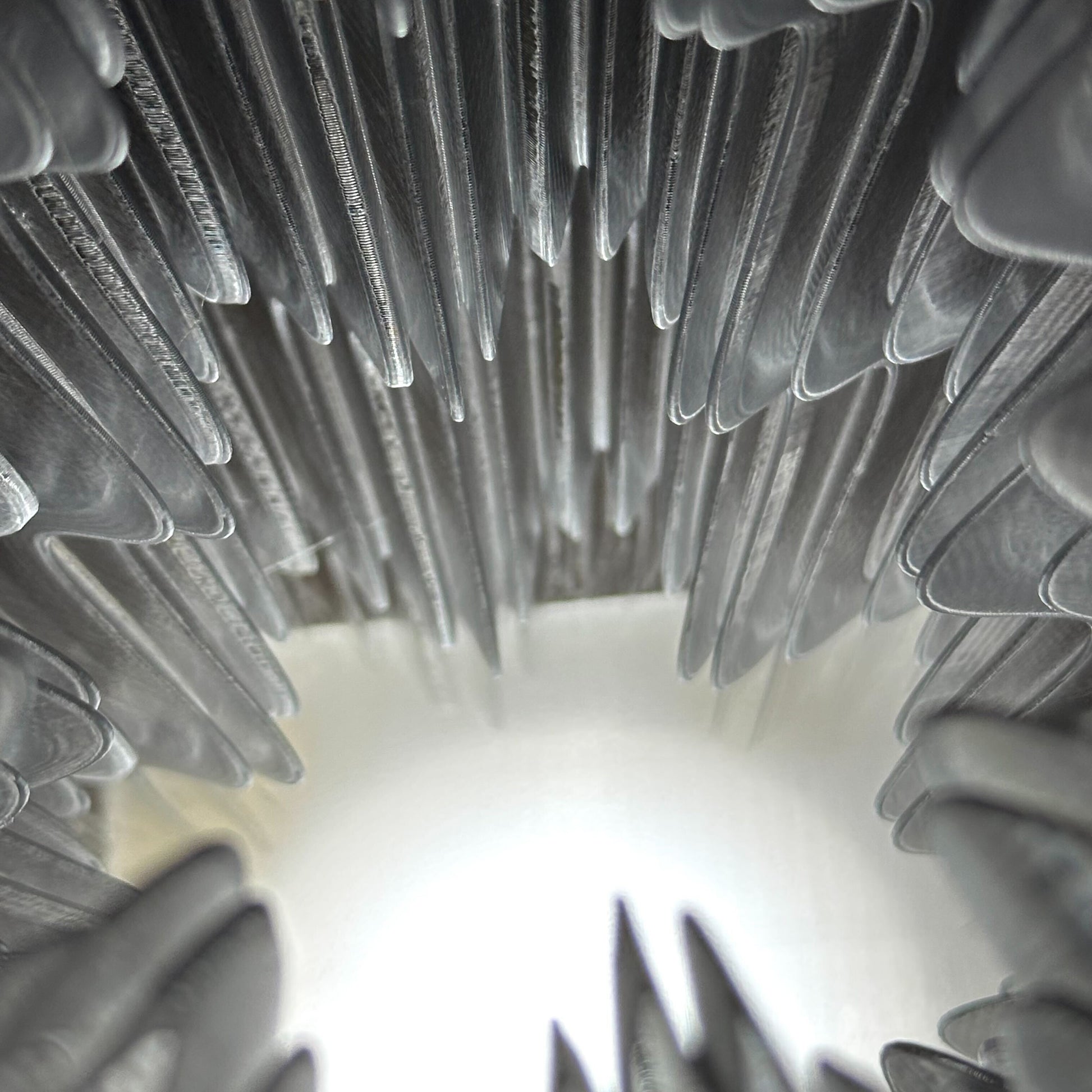 Floraison Géométrique