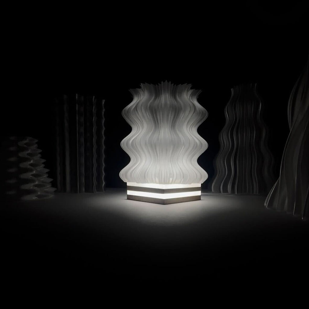 Floraison Géométrique