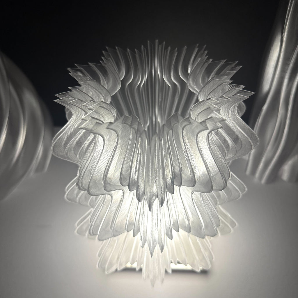 Floraison Géométrique